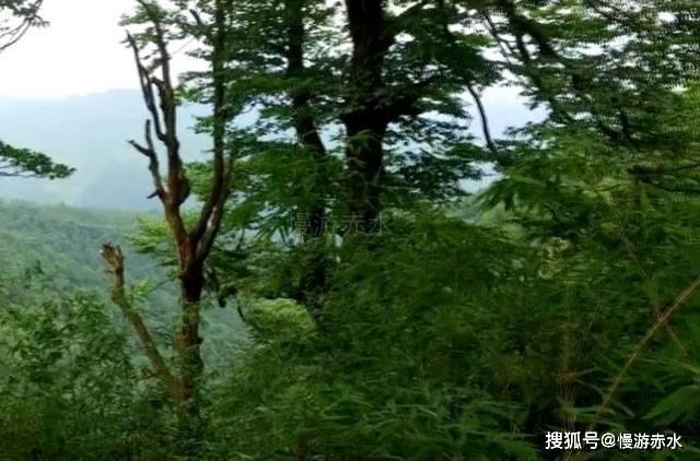解答尽在抖音写脚本的人员叫什么,一站式有问必答平台